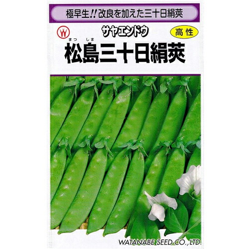 松島三十日 1L さやえんどう サヤエンドウ 莢豌豆【渡辺採種場 種 たね タネ 】【通常5倍 5のつく日はポイント10倍】 6,019円