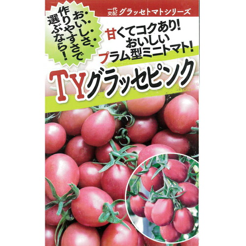 ＴＹグラッセピンク 1000粒 赤ナス とまと 蕃茄【フタバ 種 たね タネ】【原則として5倍 5のつく日は尖んがり10倍客体外商いもの尖んがり3倍くっ付ける商いもの】