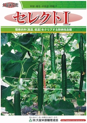 セレクト1 350粒 胡瓜 キュウリ きゅうり【久留米原種育成会 種 たね タネ】【通常5倍 5のつく日はポイント10倍】