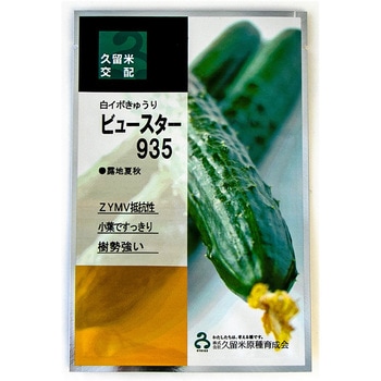 ビュースター935 350粒 胡瓜 キュウリ きゅうり【久留米原種育成会 種 たね タネ】【通常5倍 5のつく日はポイント10倍】
