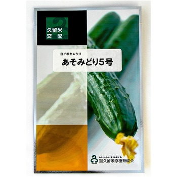 あそみどり5号 350粒 胡瓜 キュウリ きゅうり【久留米原種育成会 種 たね タネ】【通常5倍 5のつく日はポイント10倍】