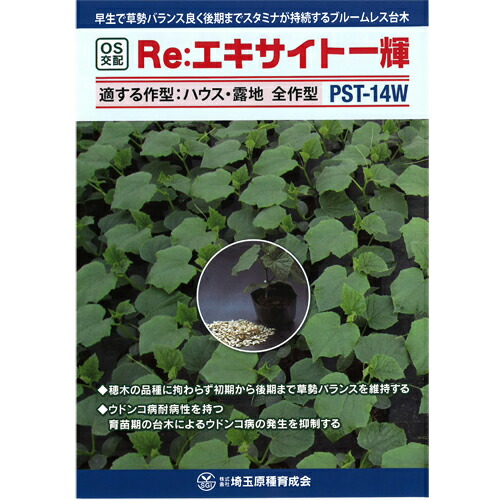 Re:エキサイト一輝 350粒 台木 【シード 種 たね タネ 】【通常5倍 5のつく日はポイント10倍】