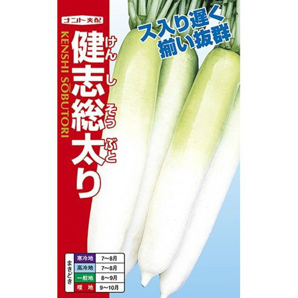 健志総太り大根 3Lコート5000粒 大根 ダイコン だいこん【ナント 種 たね タネ】【通常5倍 5のつく日はポイント10倍】