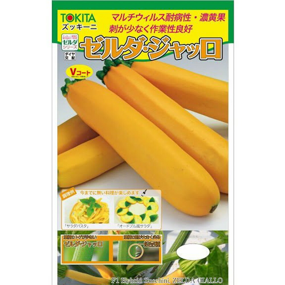楽天市場】ゼルダ・ルーチェ(710Z) 100粒 ズッキーニ ずっきーに