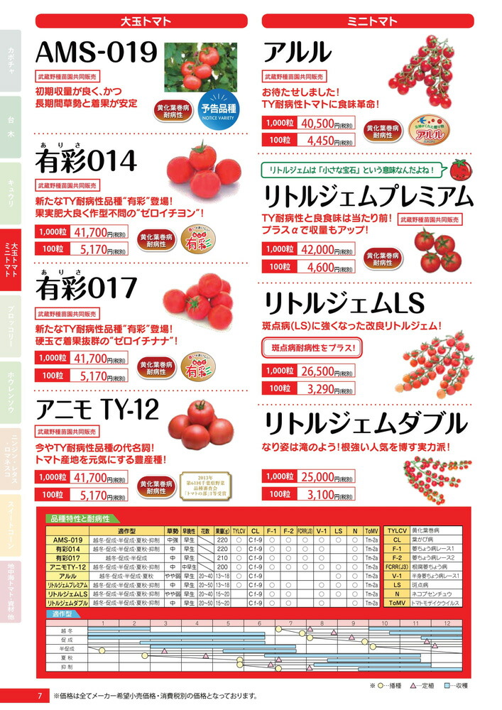 有彩017 100粒 トマト とまと 蕃茄【朝日アグリア 種 たね タネ 】【通常5倍 5のつく日はポイント10倍対象外商品ポイント3倍固定商品】