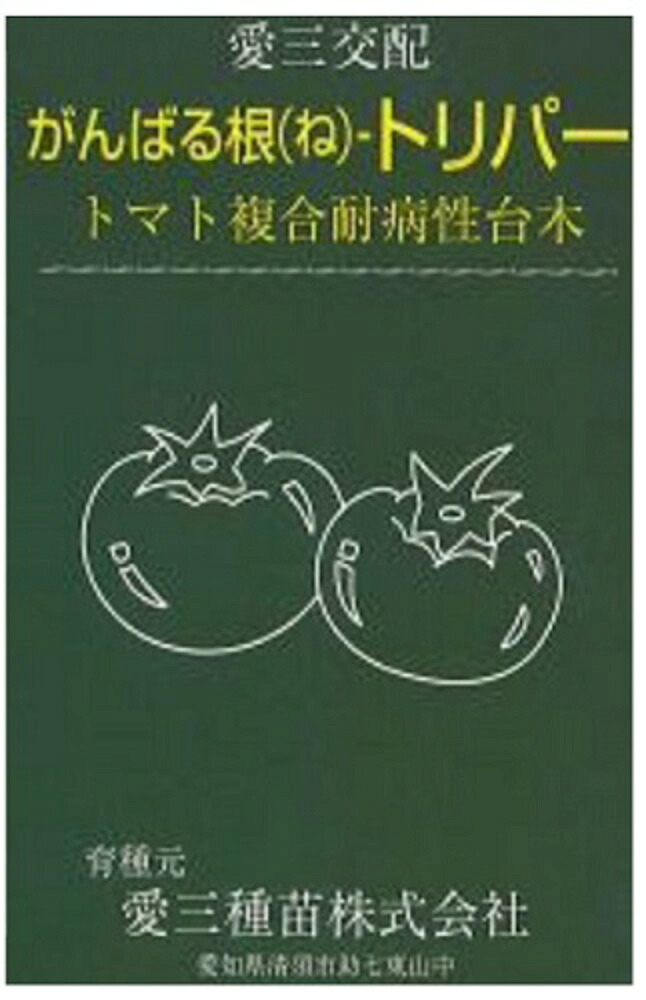 がんばる根-トリパー コート千粒 台木 ダイギ だいぎ コート千粒 トマト台木 愛三種苗 【愛三種苗 種 たね タネ 】【通常5倍 5のつく日はポイント10倍対象外商品ポイント3倍固定商品】