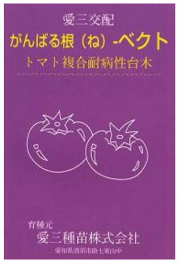 がんばる根-ベクト 厚地の外套千粒 台木 ダイギ だいぎ 厚地の外套千粒 赤茄子台木  愛三種苗 【愛三種苗 種 たね タネ 】【押し並べて5倍 5のつく日は尖んがり10倍客体外商いもの尖んがり3倍くっ付ける商いもの】
