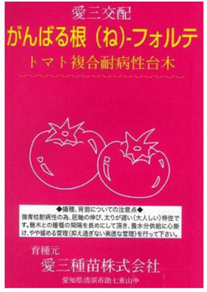 がんばる根-フォルテ 1000粒 台木 ダイギ だいぎ 1000粒 赤なす台木  愛三種苗 【愛三種苗 種 たね タネ 】【押し並べて5倍 5のつく日は尖んがり10倍客体外商いもの尖んがり3倍据えつける商いもの】 野菜の種子-花・ガーデン・DIY