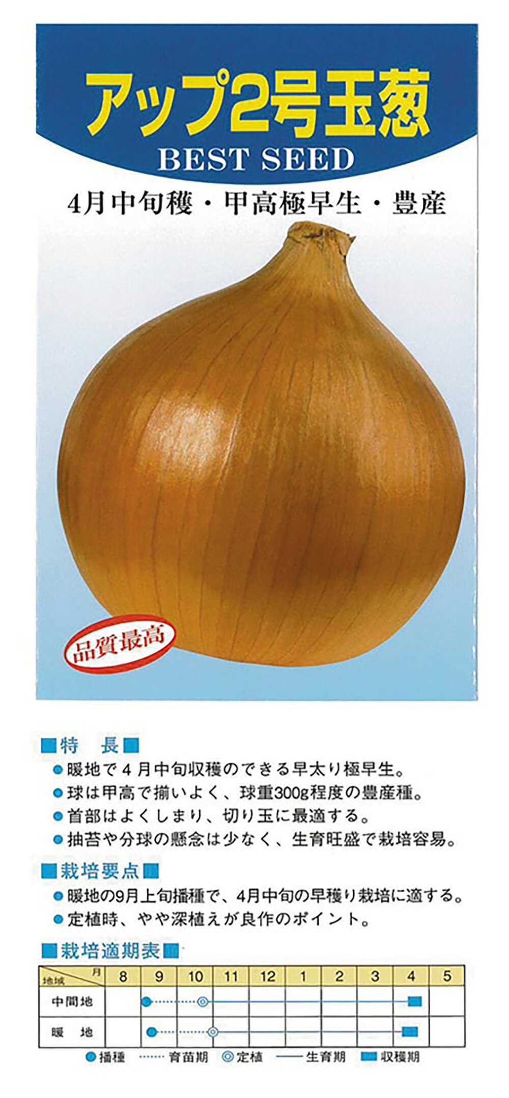 楽天市場】EXスター 100g 超極早生品種 玉ねぎ たまねぎ 玉葱