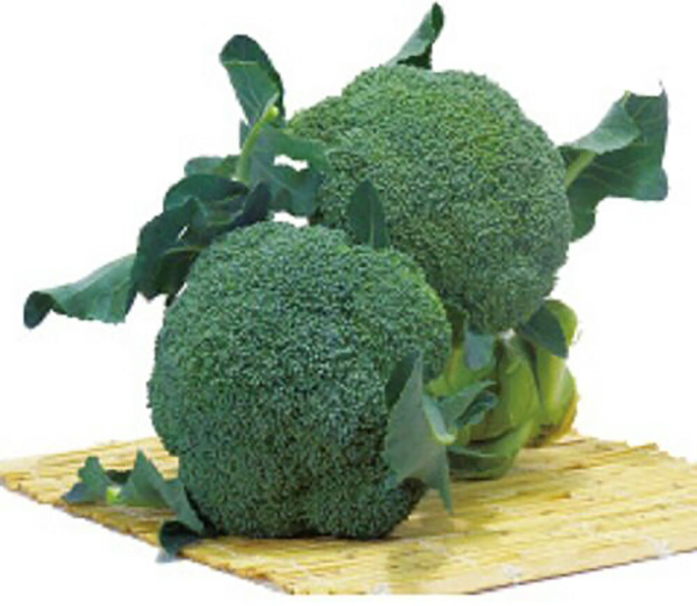 楽天市場】クリア(BL-819) 2000粒 ブロッコリー 【ブロリード 種 たね