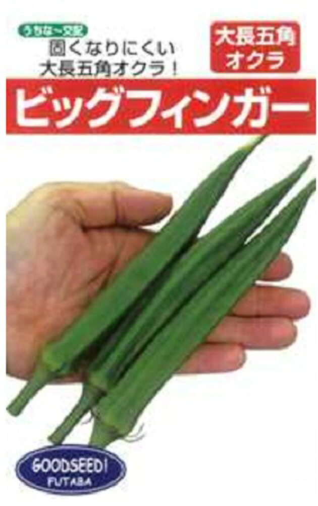 ビッグフィンガー 1l オクラ おくら フタバ 種 たね タネ 人並6倍増し 5のつく日時は要10倍 もの一万巡回以上の買とりで4 Offクーポン Dierenartsenbeestenbos Be