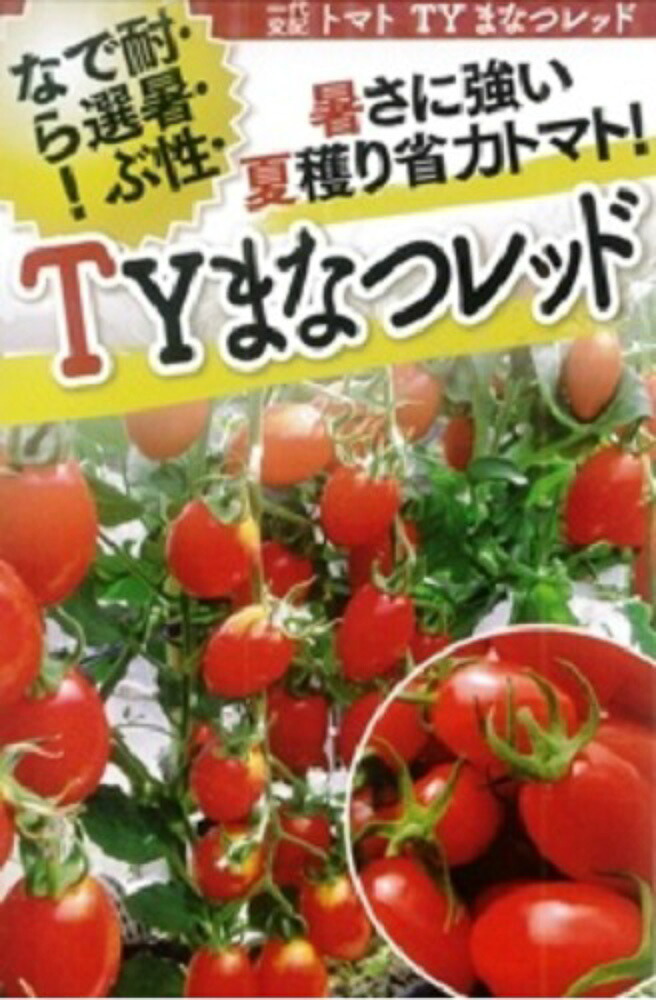 TYまなつ 赤いこと 1000粒 赤ナス とまと 蕃茄【フタバ 種 たね タネ】【原則として5倍 5のつく日は尖んがり10倍客体外商いもの尖んがり3倍くっ付ける商いもの】 花・ガーデン・DIY-野菜の種子-ガーデニング・農業