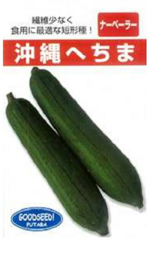 沖縄 短形へちま 1L ヘチマ へちま 糸瓜【フタバ 種 たね タネ】【押し並べて5倍 5のつく日は尖んがり10倍客体外商いもの尖んがり3倍くっ付ける商いもの】