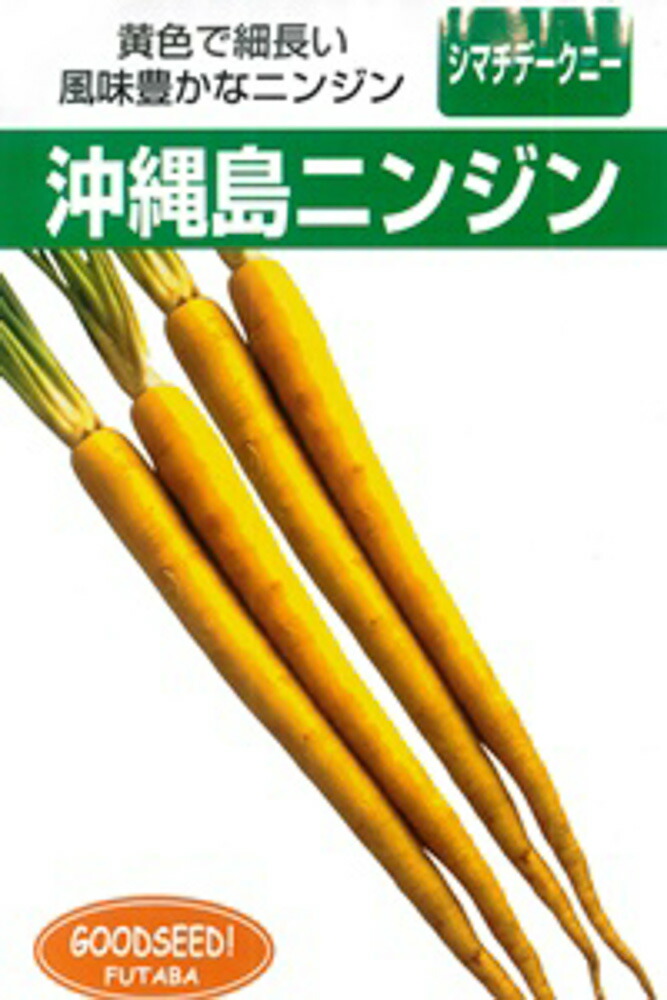 沖縄 島人参 1L ニンジン にんじん 人参【フタバ 種 たね タネ】【通常5倍 5のつく日はポイント10倍対象外商品ポイント3倍固定商品】