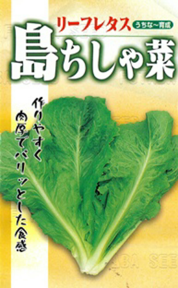 沖縄野菜の本 沖縄野菜の本 西大八重子 | 古書店うみつばめ