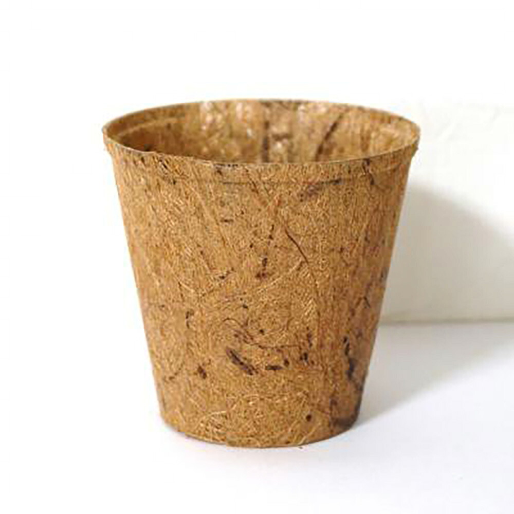 3号ポット(ココピート/生まれながらヤシガラ原料品)100個 400 スプラウト作りだす 専用ジャー 作りだす一揃いの道具【GFP 種 たね タネ】【押し並べて5倍 5のつく日は尖んがり10倍】