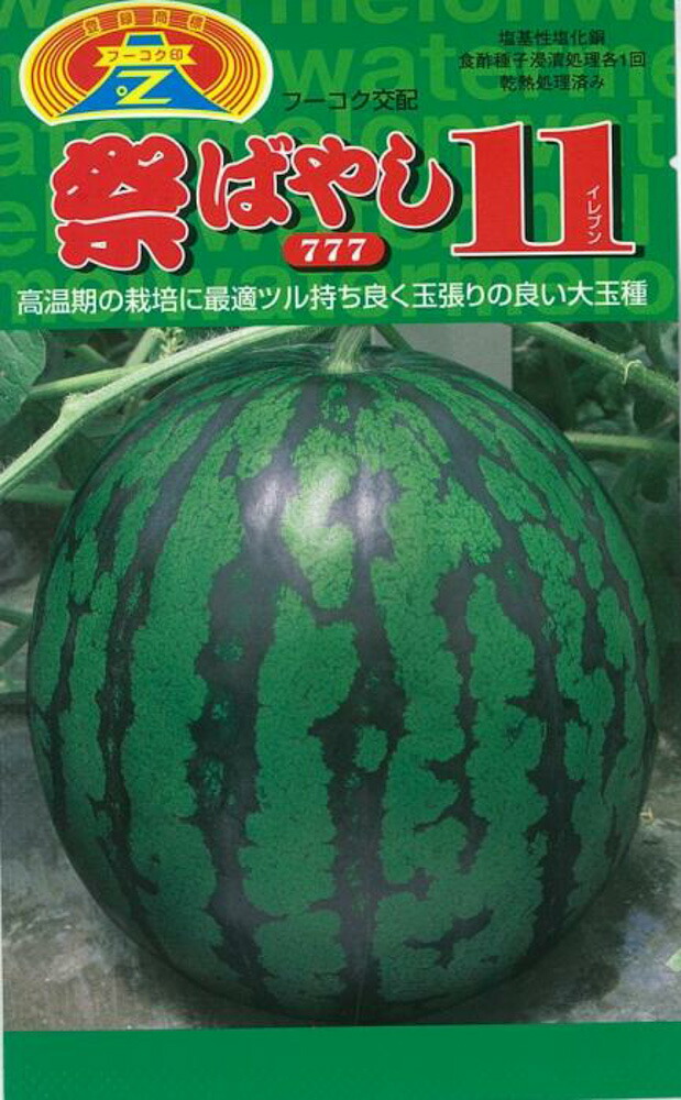 祭ばやし11 大玉スイカ 200粒 スイカ すいか 西瓜【萩原栽培所 種 たね タネ】【原則として5倍 5のつく日は尖んがり10倍客体外商いもの尖んがり3倍固着させる商いもの】