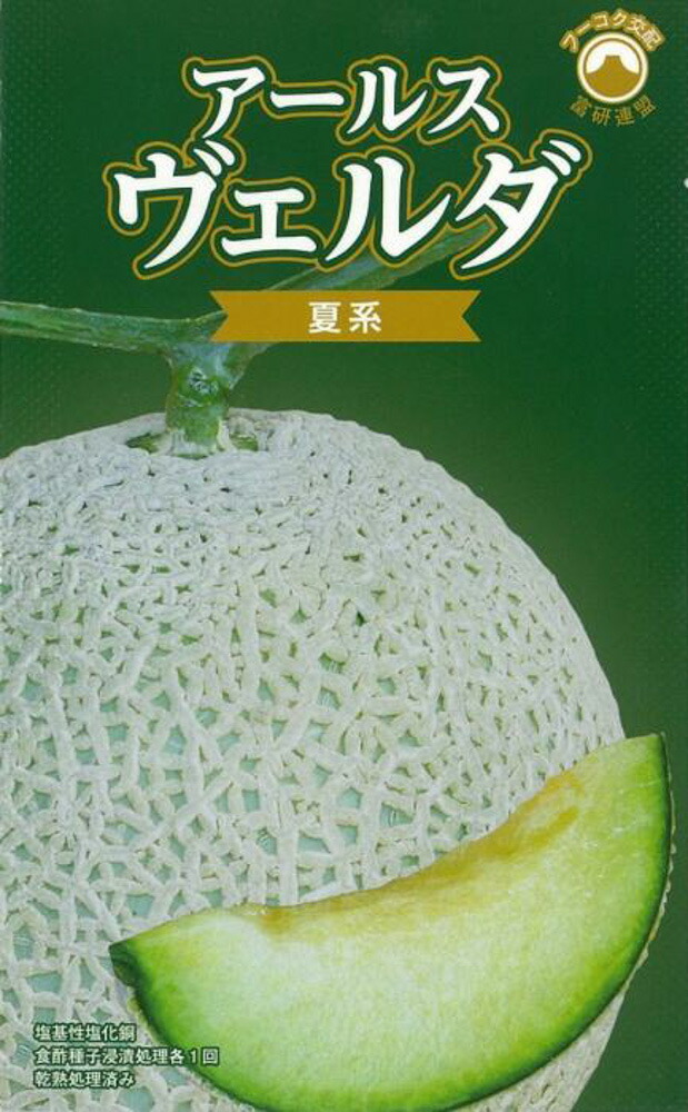メロンページです。 楽天市場】クインシー719 100粒 めろん メロン 舐瓜 ウエキ交配
