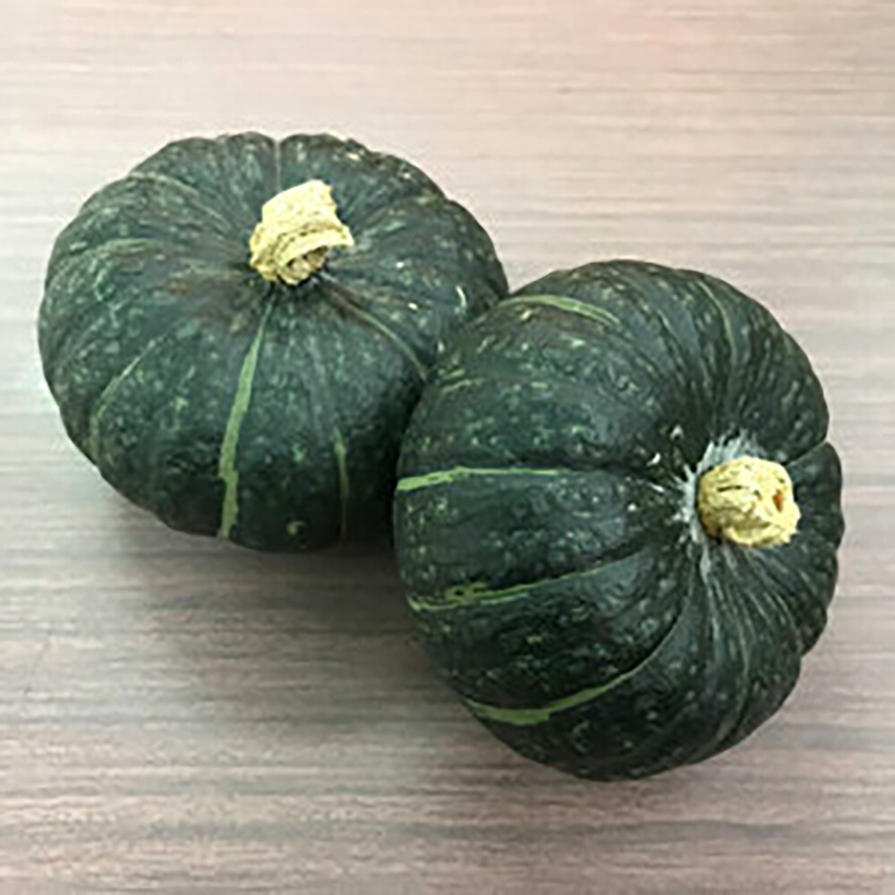 ほっくりはん(ミニ) 500粒 南瓜 カボチャ かぼちゃ【小林種苗 種 たね タネ】【通常5倍 5のつく日はポイント10倍対象外商品ポイント3倍固定商品】｜全国種苗出荷センター 14,850円