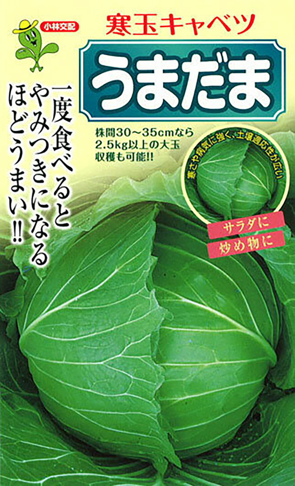 うまだま 2000粒 キャベツ【小林種苗 種 たね タネ】【通常5倍 5のつく日はポイント10倍対象外商品ポイント3倍固定商品】 4,633円