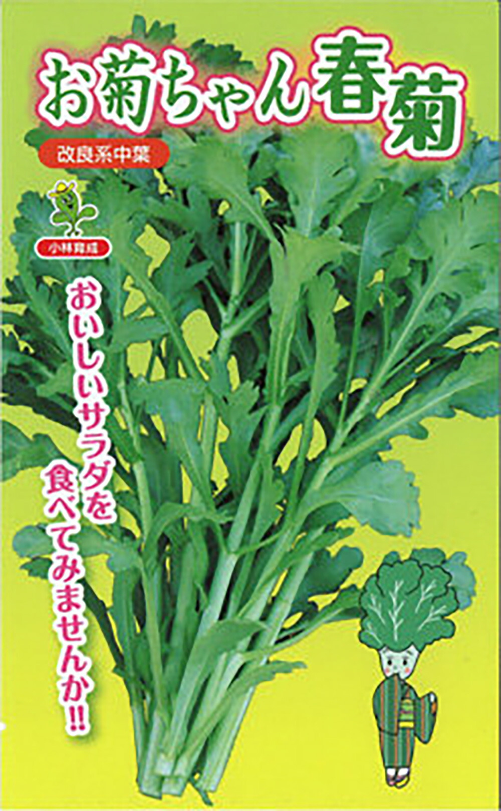 春菊 楽天市場】博多改良中葉（村田系） 1l 春菊 しゅんぎく