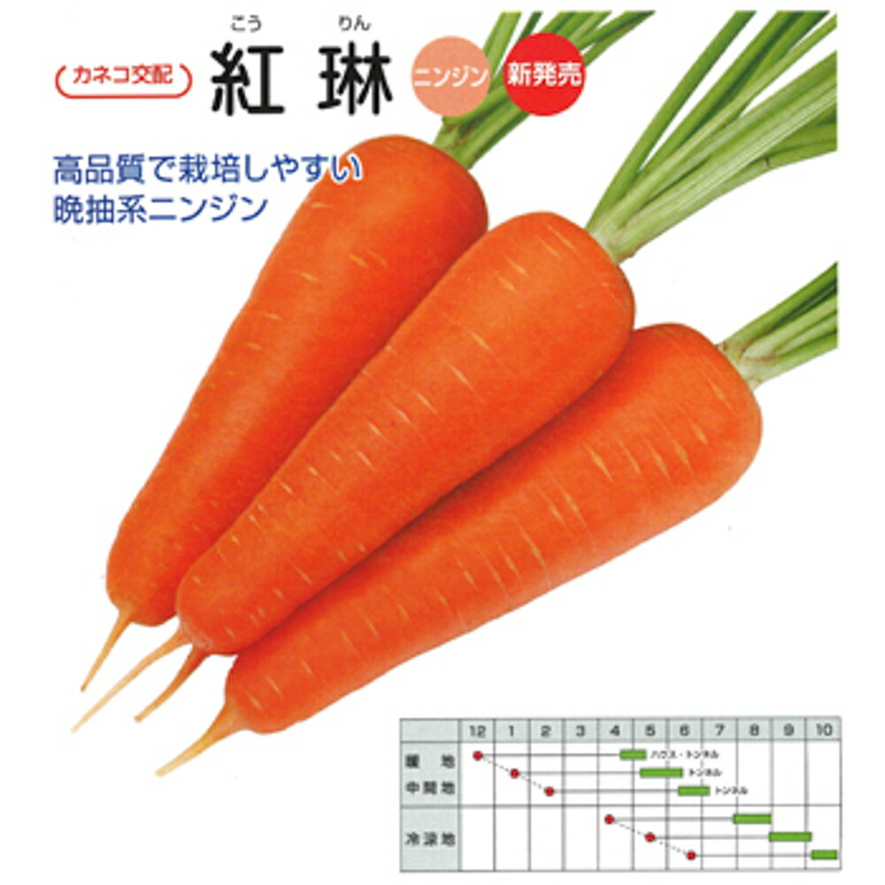 紅琳 ペレット10000粒 ニンジン にんじん 人参【カネコ種苗 種 たね タネ 】【通常5倍 5のつく日はポイント10倍】
