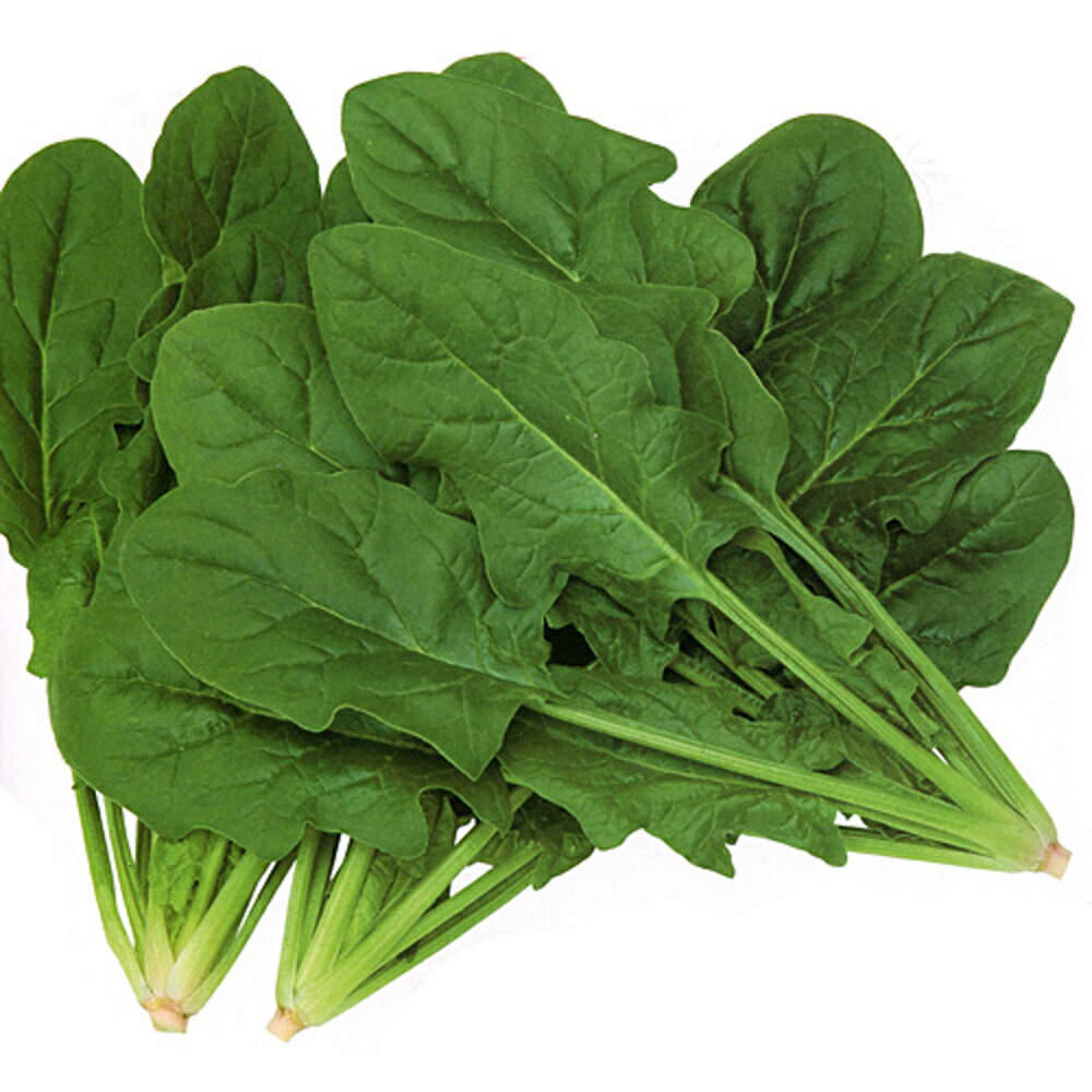 ユアーズ M粒 ほうれん草 法蓮草 ホウレンソウ ほうれんそう 最安価格