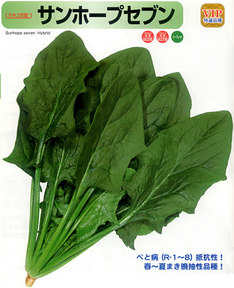 サンホープセブン MS30000粒 ほうれん草 法蓮草 ホウレンソウ ほうれんそう