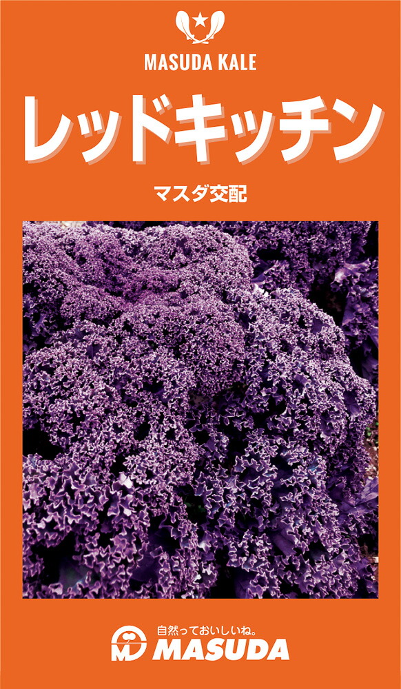 レッドキッチン(f1)(旧:キッチンケールr) コート(5000粒) ケール けーる【増田採種場 種 たね タネ】【通常5倍 5のつく日はポイント10倍】|全国種苗出荷センター