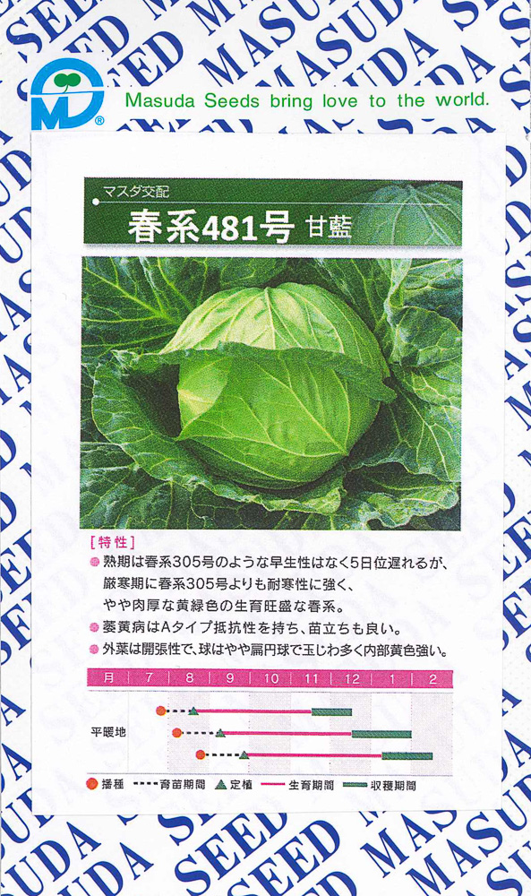 春系481号甘藍 コート 5000粒 キャベツ 甘藍 かんらん カンラン マート