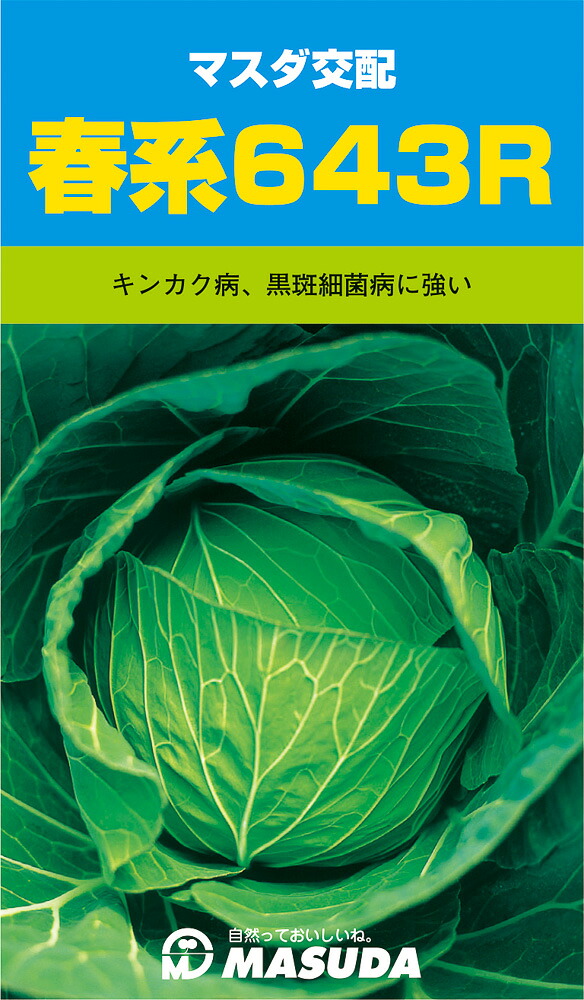 春系643R甘藍 3000粒 キャベツ 甘藍 かんらん カンラン【増田採種場 種 たね タネ】【通常5倍 5のつく日はポイント10倍】