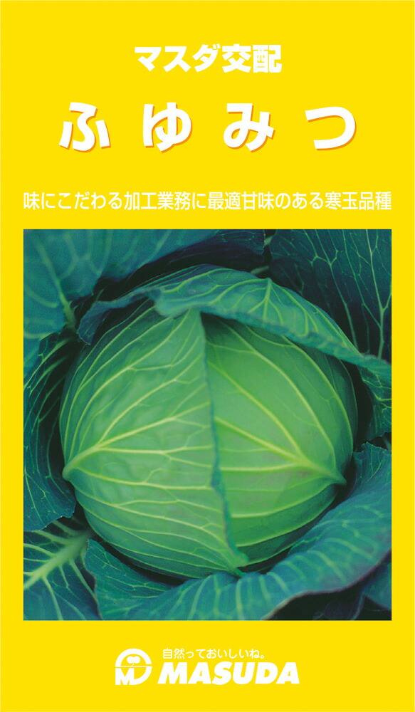 楽天市場】若妻甘藍 3000粒 キャベツ 甘藍 かんらん カンラン【増田