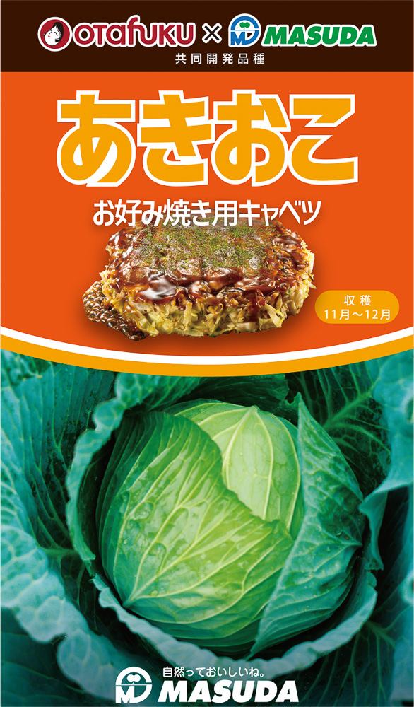 甘藍 キャベツ お好み焼き用キャベツ 火を通すとホクホク キャベツ 5のつく日はポイント10倍 種 増田採種場 コート 5000粒 カンラン たね あきおこ甘藍 種 タネ かんらん たね 全国種苗出荷センター