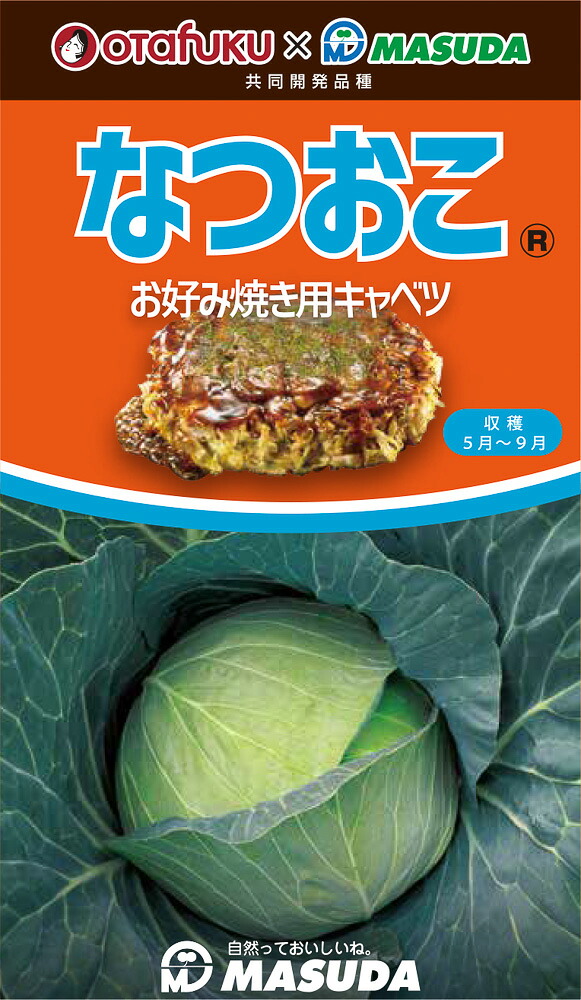 なつおこ甘藍 コート(5000粒) キャベツ 甘藍 かんらん カンラン【増田採種場 種 たね タネ】【通常5倍 5のつく日はポイント10倍】｜全国種苗出荷センター 14,969円