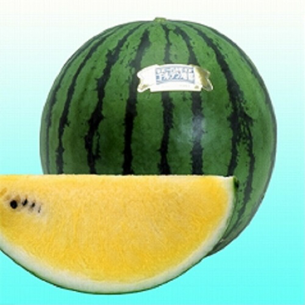 確認どうぞ♥西瓜の皮の色の斑入りです。 これは本物のスイカ🍉？！？！？！！！！！！ もう本物を竹串に刺し