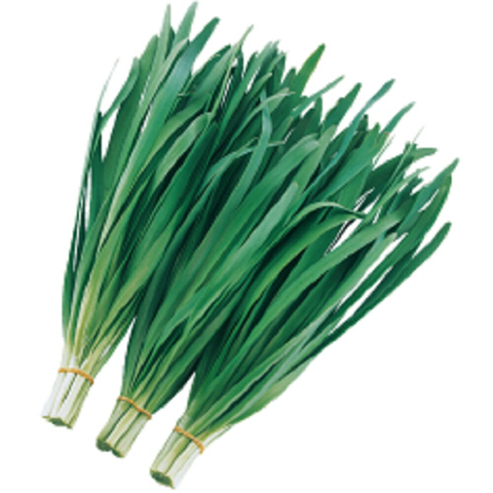 ハイパーグリーンベルト Pvp 2dl 韮 ニラ にら 武蔵野種苗 種 たね タネ 通常6倍 5のつく日はポイント10倍 一万円以上の購入で4 Offクーポン Wloczypies Pl