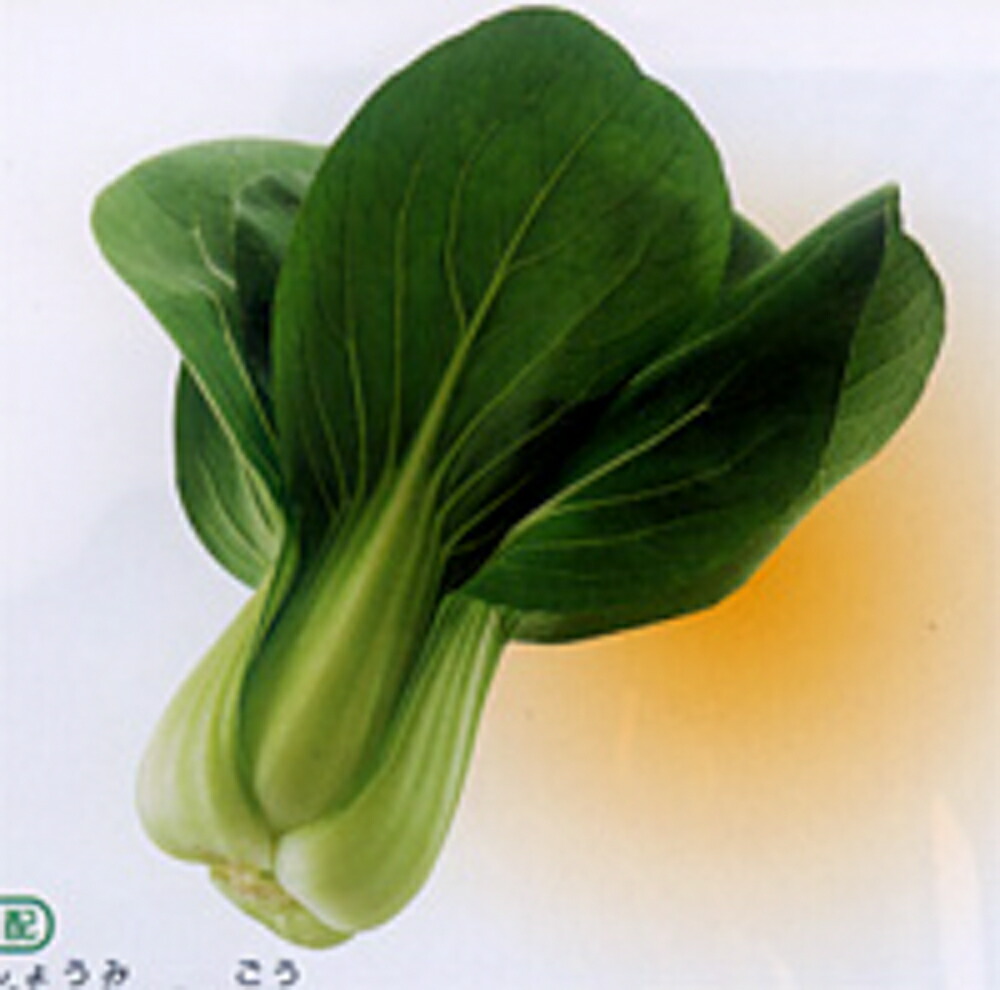 今年の新作から定番まで 夏賞味2号 2dl 青梗菜 チンゲン菜 チンゲンサイ ちんげんさい 武蔵野交配 Fucoa Cl