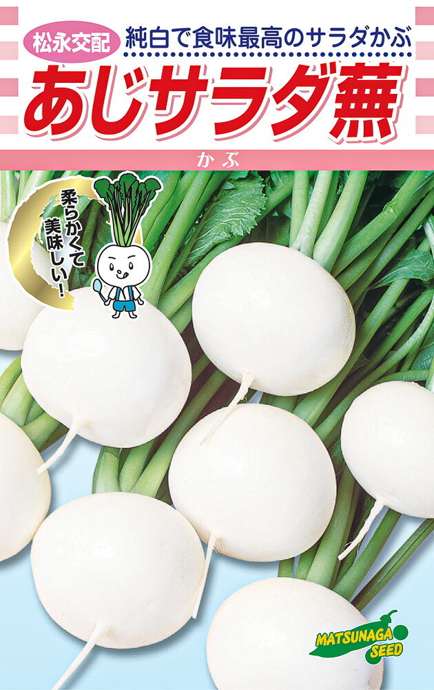 大騒ぎサラダ菜 2デシリットル詰 かぶ 小僧 蕪 松永かけ合わせ 【松永種苗 種 たね タネ】【原則として5倍 5のつく日は尖んがり10倍】 花・ガーデン・DIY-野菜の種子-ガーデニング・農業