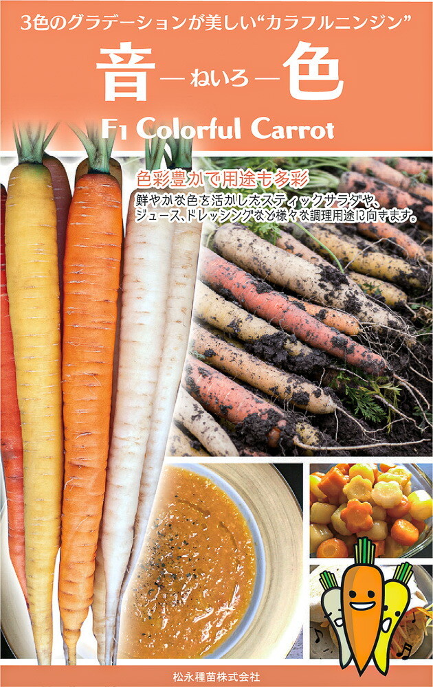 楽天市場】ローラ 5万粒 ニンジン にんじん 人参【ヴィルモランみかど