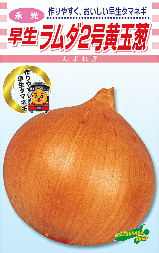 ジェットスター タマネギ 100g（ジェットスター玉葱(早生タイプ