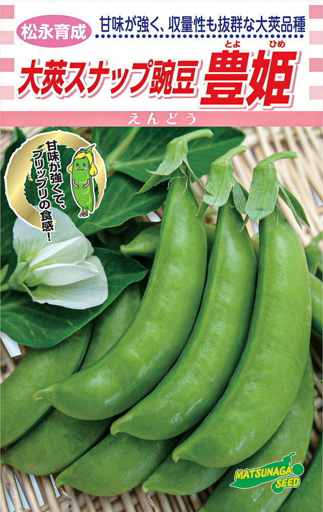松永育みそだてる  大英隙間えんどう 豊姫 1L詰 殻えんどう サヤエンドウ 莢豌豆【松永種苗 種 たね タネ】【原則として5倍 5のつく日は尖んがり10倍】