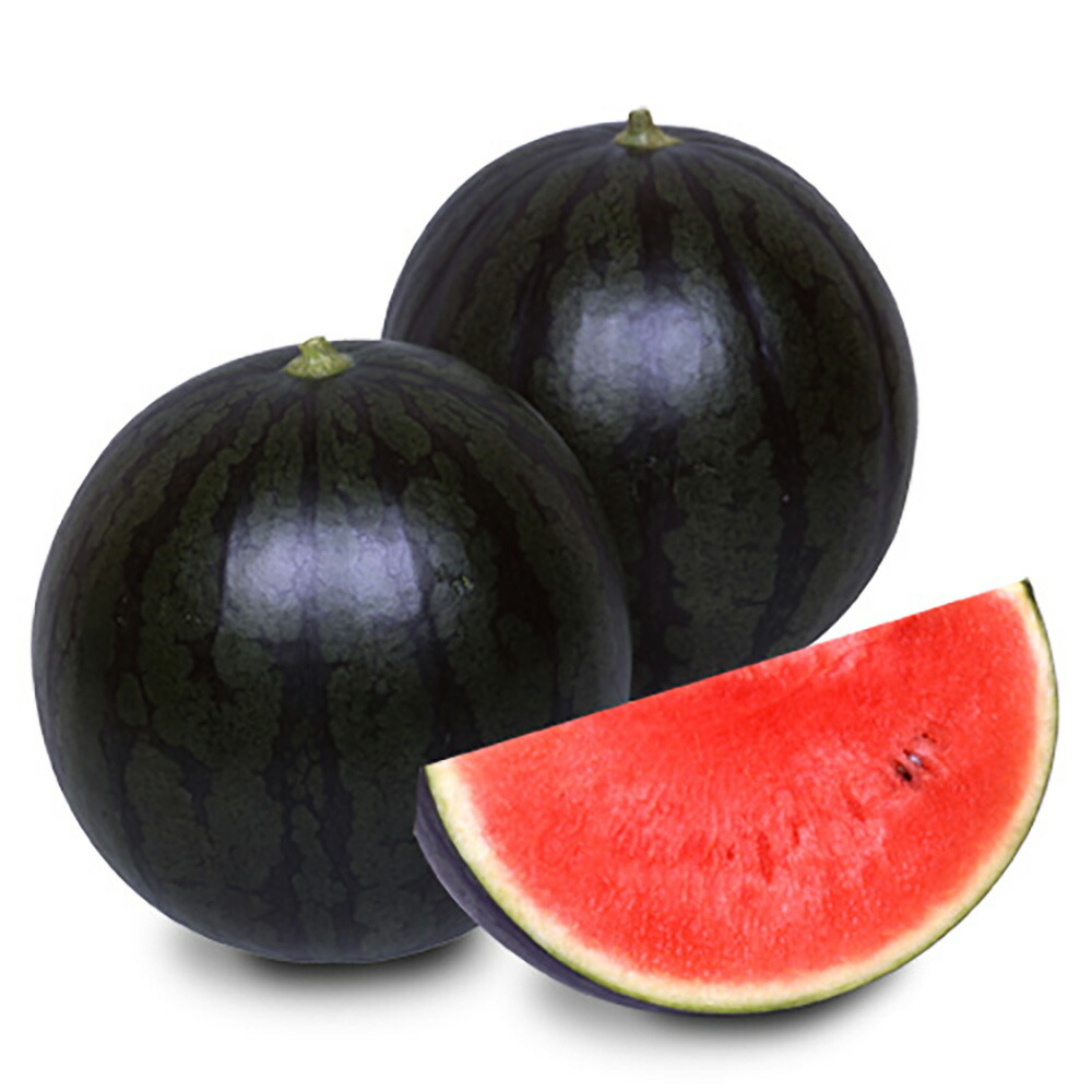 楽天市場】小玉西瓜種 宇治交配 姫甘泉ブラックすいか 丸種株式会社の