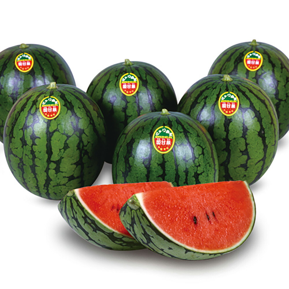 楽天市場】小玉西瓜種 宇治交配 姫甘泉ブラックすいか 丸種株式会社の