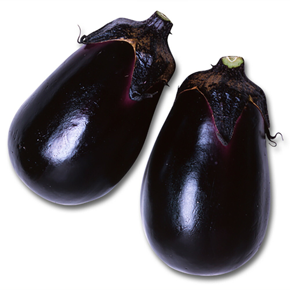 長緑(ちょうりょく) 2000粒詰 ナス なす 茄子 宇治交配 】 長緑ナスの通販