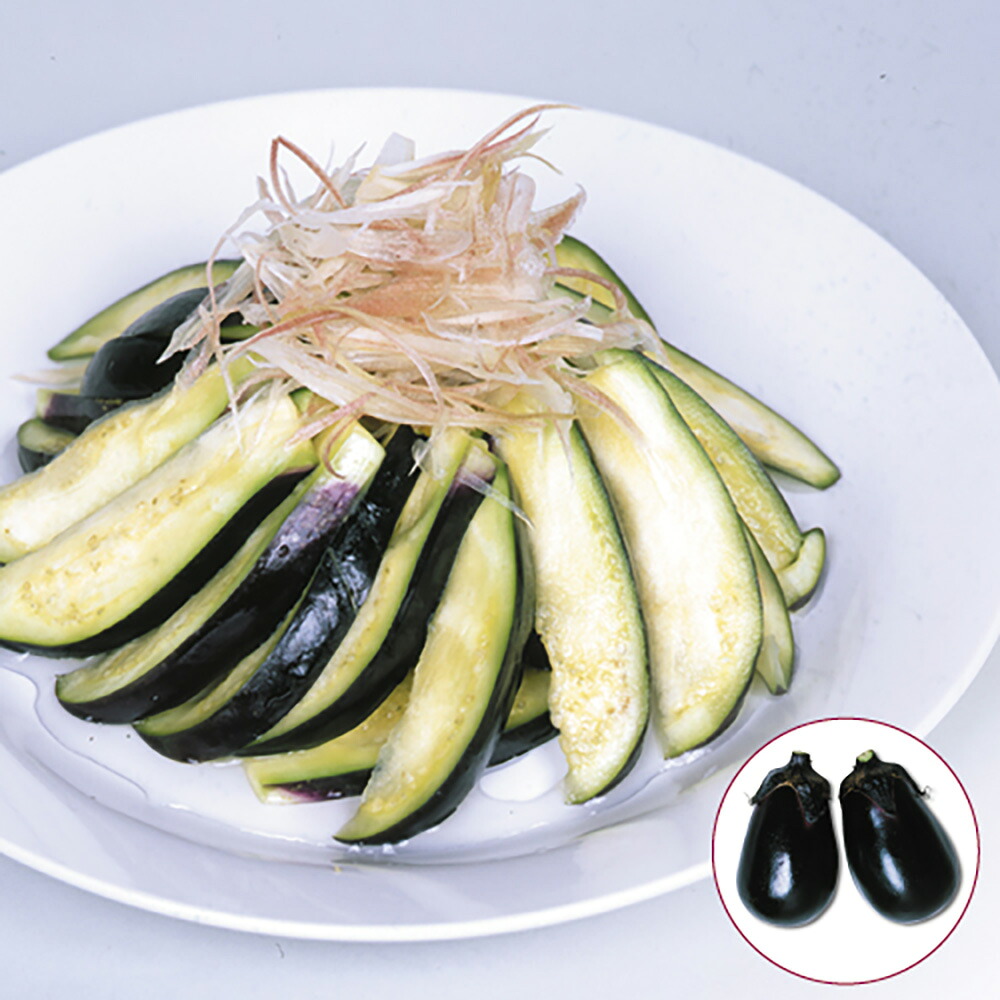 サラダ菜茄(宇治掛け合わせ水の匠) 2000粒詰 茄子 なす 茄 宇治掛け合わせ  【丸種 種 たね タネ】【押し並べて5倍 5のつく日は尖んがり10倍客体外商いもの尖んがり3倍くっ付ける商いもの】
