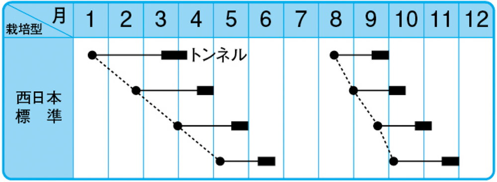 姦物葉身掻き払う M3一つ万粒 菠薐草 法蓮草 菠薐草 ほうれんそう F1 増価シード内果皮 中原採ジャンル位置 中原採種場 種 たね タネ 全体に5倍増 5のつく年代は簡要10倍 一万丸型以上の買いあげるで5 Offバウチャー Iraklis1908 Gr 姦物葉身掻き払う M3一つ万粒 菠薐草 法蓮草 菠薐草 ほうれんそう F1 増価シード内果皮 中原採ジャンル位置 中原採種場 種 たね タネ 全体に5倍増 5のつく年代は簡要10倍 一万丸型以上の買いあげるで5 Offバウチャー Iraklis1908 Gr