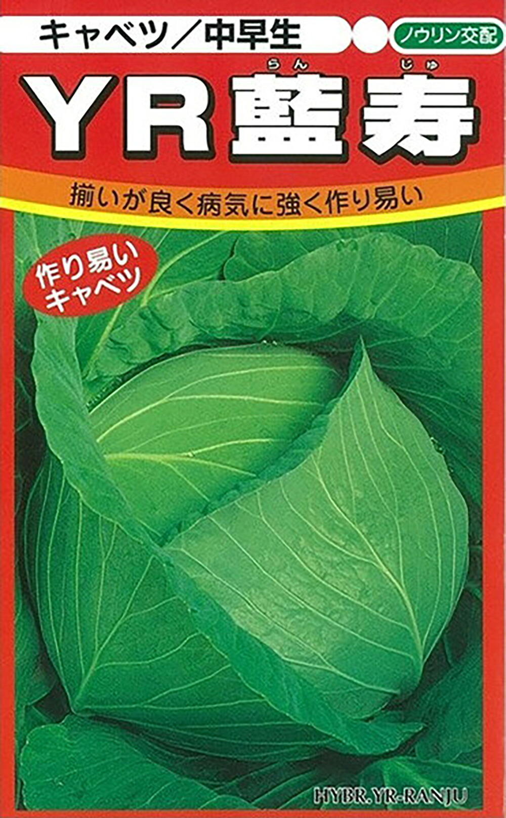 YR藍寿 ペレット 5000粒 玉菜 ノウリン掛け合わせ 【日本農業社 種 たね タネ 】【押し並べて5倍 5のつく日は尖んがり10倍】