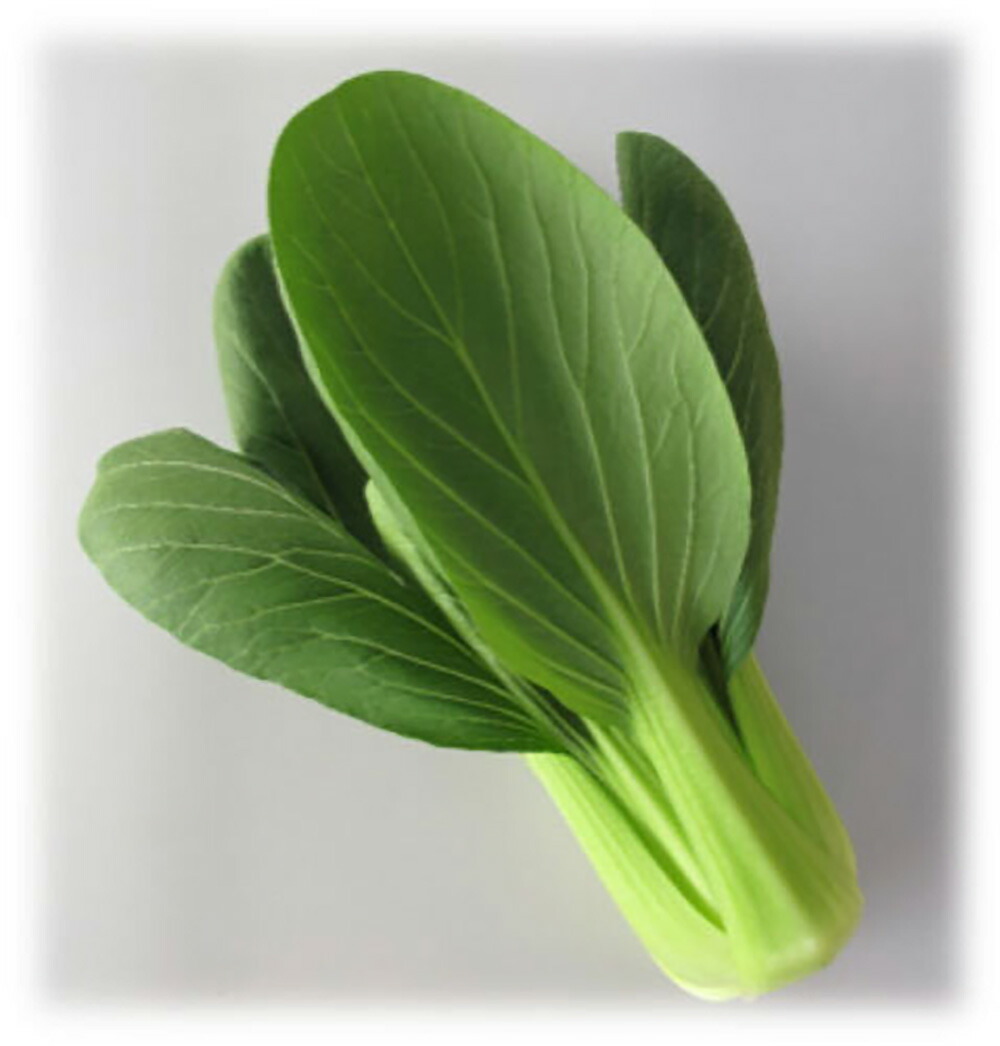 市場 たね チンゲンサイ タカヤマシード 青梗菜