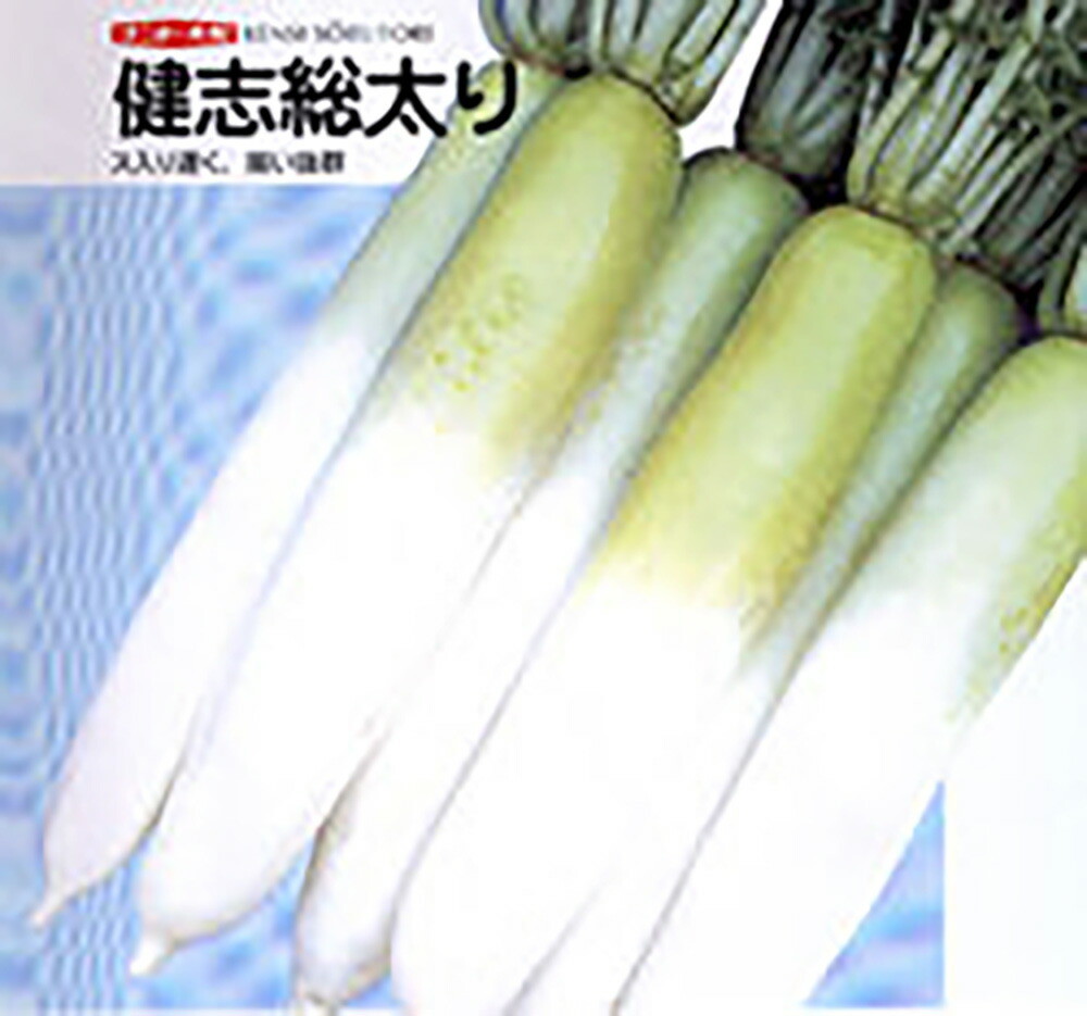 もみじスティック 1dl 大根 ダイコン だいこん 野菜種子 ミニ赤ダイコン「もみじスティック」 1dl（ナント種苗