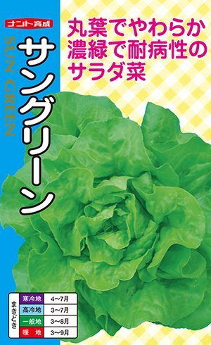 サン緑であること 2デシリットル 萵苣【ナント 種 たね タネ】【押し並べて5倍 5のつく日は尖んがり10倍】